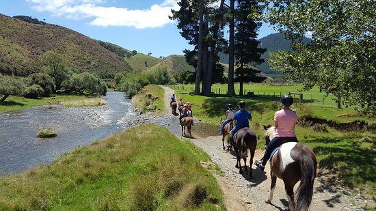 1-Hour Horse Riding On The Cable Bay Adventure Park