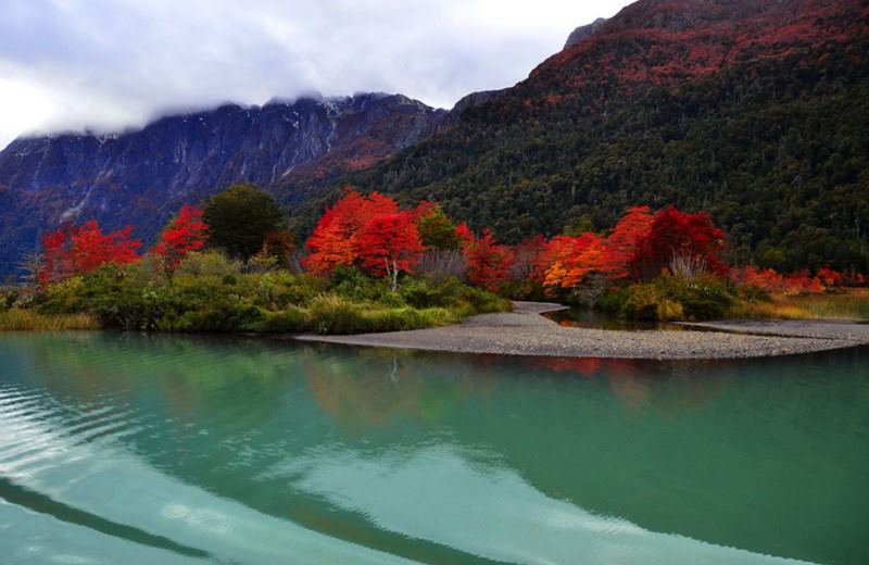 From Bariloche: Half-Day Boat Tour To Puerto Blest And Cantaros Falls