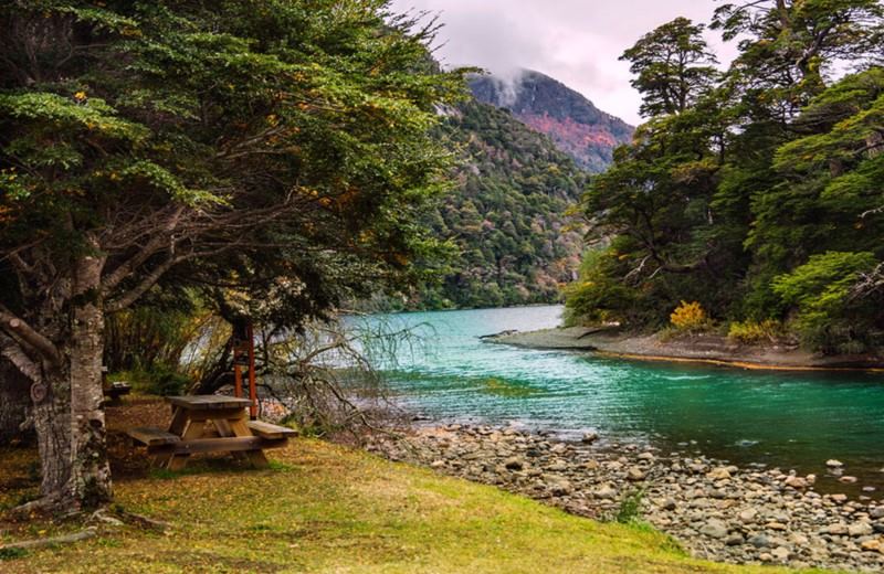 From Bariloche: Half-Day Boat Tour To Puerto Blest And Cantaros Falls