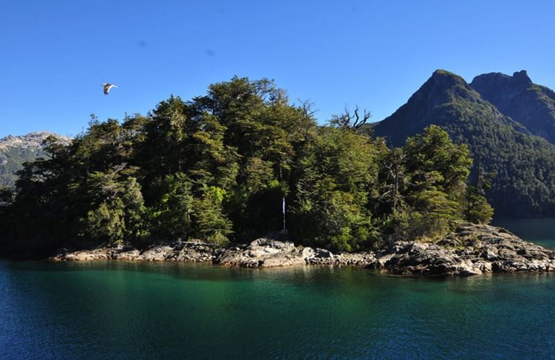 From Bariloche: Half-Day Boat Tour To Puerto Blest And Cantaros Falls