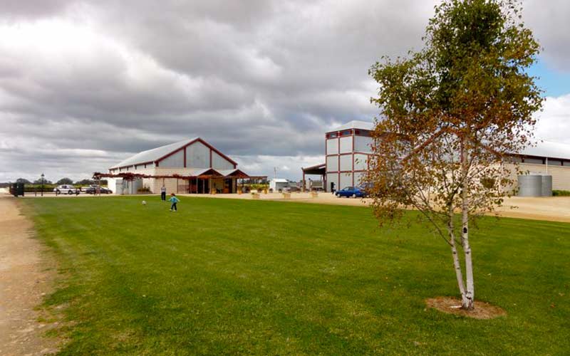 From Mount Gambier: Small-Group Tour To Coonawarra Wine Region With Tastings