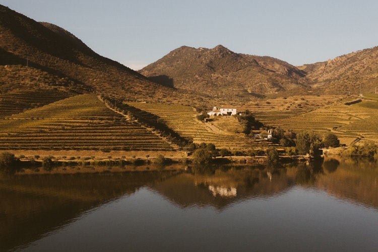 Porto: Private Day Tour To The Douro Valley With Wine Tasting & Boat Trip