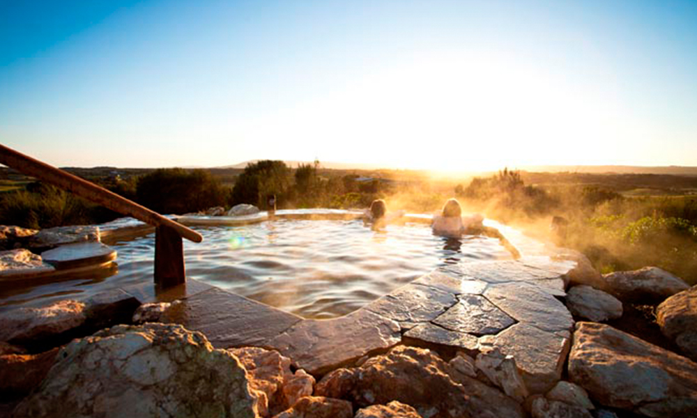 From Melbourne: Full-Day Tour To Mornington Peninsula With Wine Tasting, Spa & More