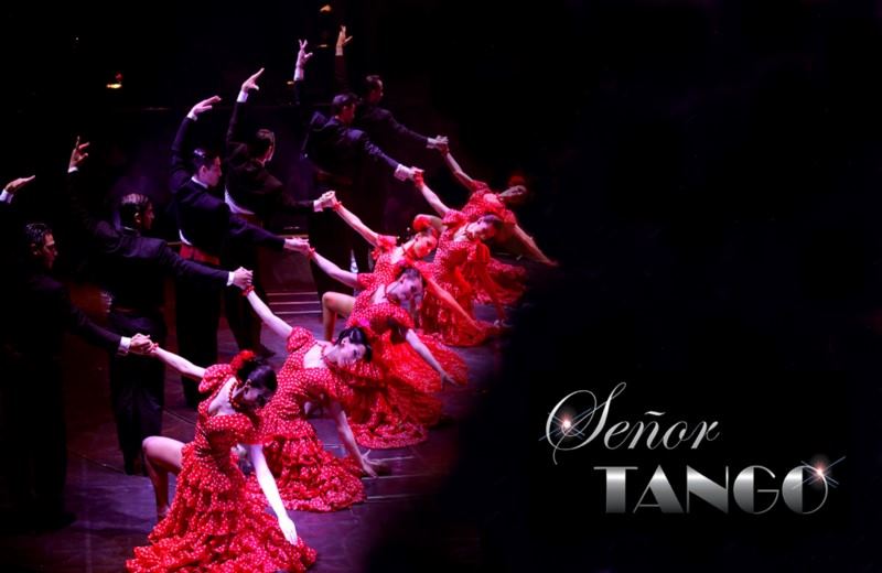 Buenos Aires: Señor Tango Vip Dinner & Tango Show