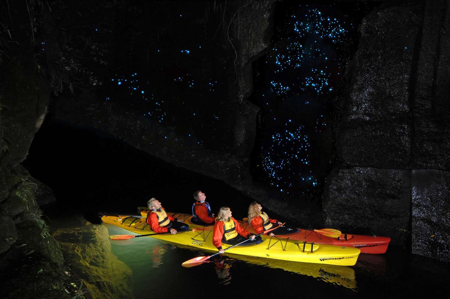 Waitomo Glow Worm Caves Top Tours And Tips Experitour Com   Glow Worms Hig Res 003 