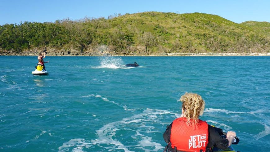 1.5-Hour Jet Ski Tour At Airlie Beach