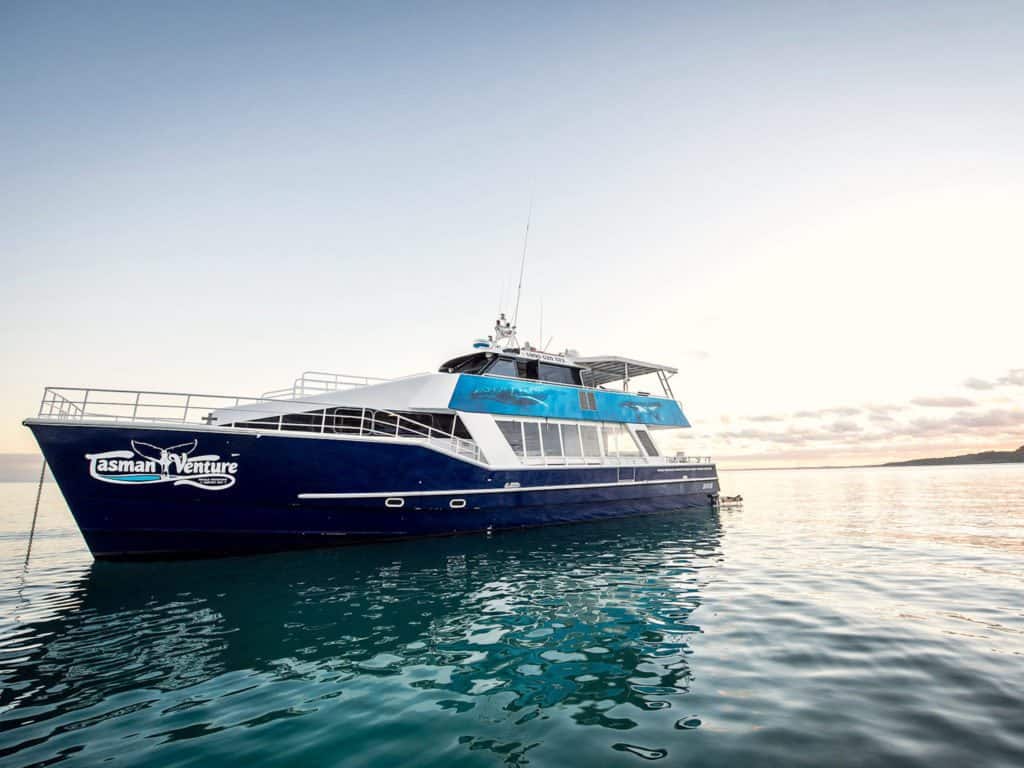 From Hervey Bay: Full-Day Small-Group Tour To Fraser Island