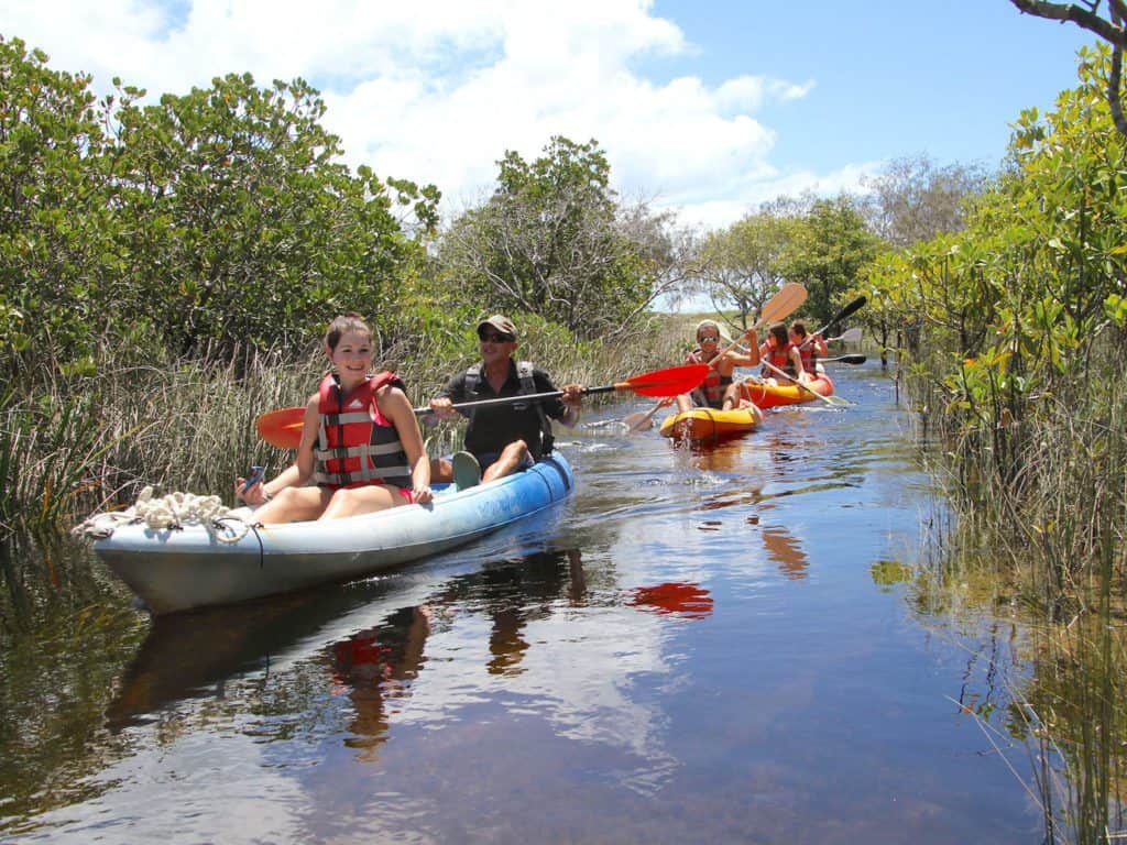 From Hervey Bay: Full-Day Small-Group Tour To Fraser Island