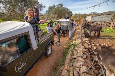Full-Day Jeep Safari In The Mountains Of Albufeira With Lunch