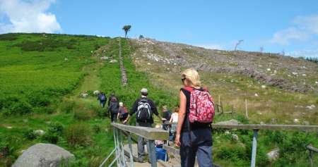 De Dublin: Excursão De Um Dia Para Grupos Pequenos Em Wicklow, Glendalough