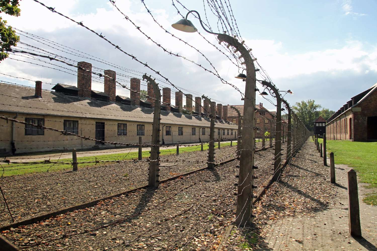 From Krakow Auschwitz Birkenau Museum Guided Tour With Pickup