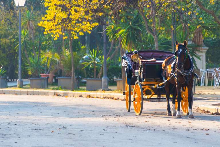 horse drawn carriage tours
