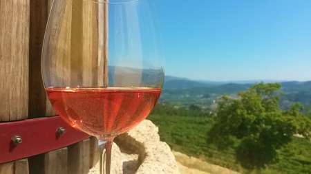 Région Vinho Verde: Dégustation De Vins De La Quinta De Santa Cristina