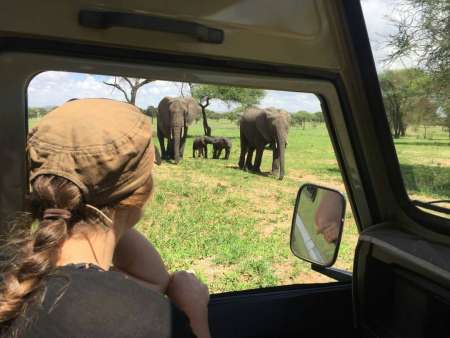 From Arusha: 5 Day Luxury Safari Tour In Tanzania