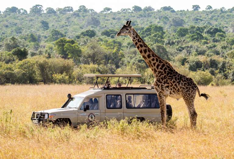 booking safari in tanzania