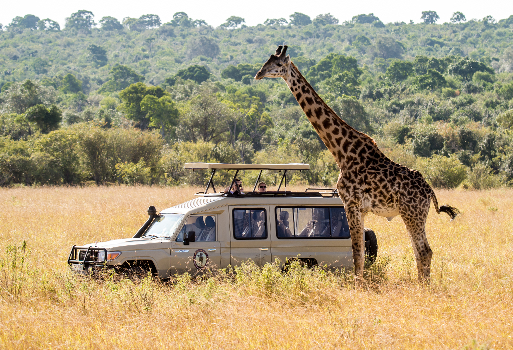 tanzania safari 2023