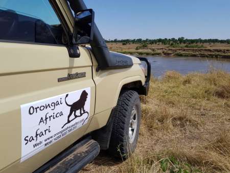 Tanzânia: Safari De 8 Dias Incluindo Extensão De Serengeti E Zanzibar