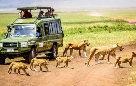 Camping De 4 Días En Los Parques Nacionales De Tanzania