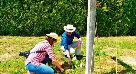 Prova De Vinhos E Plantação De Vinhas Na Quinta De Santa Cristina Na Região Dos Vinhos Verdes