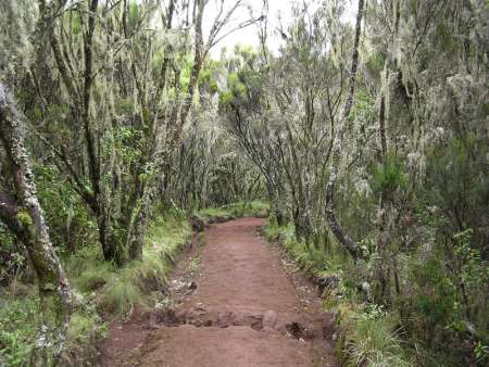 Marangu Route