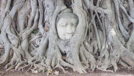 5-Day Trip To The Unesco Sites In Ayutthaya, Suphanburi And Nakhon Nayok