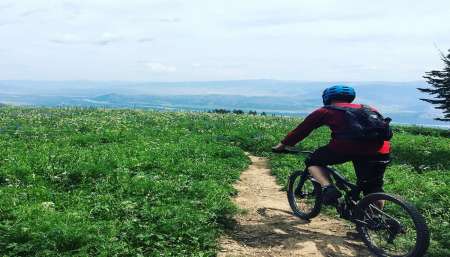 Inle Lake: Excursão De Bicicleta De Meio Dia Ao Vinhedo Red Mountain