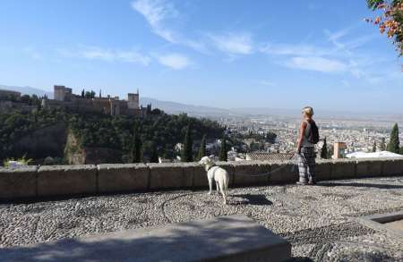 Granada: Visita Guiada Al Albaicín Con Perro
