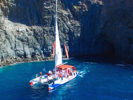Tour De Observación De Ballenas Y Delfines De 5 Horas En Catamarán En Tenerife