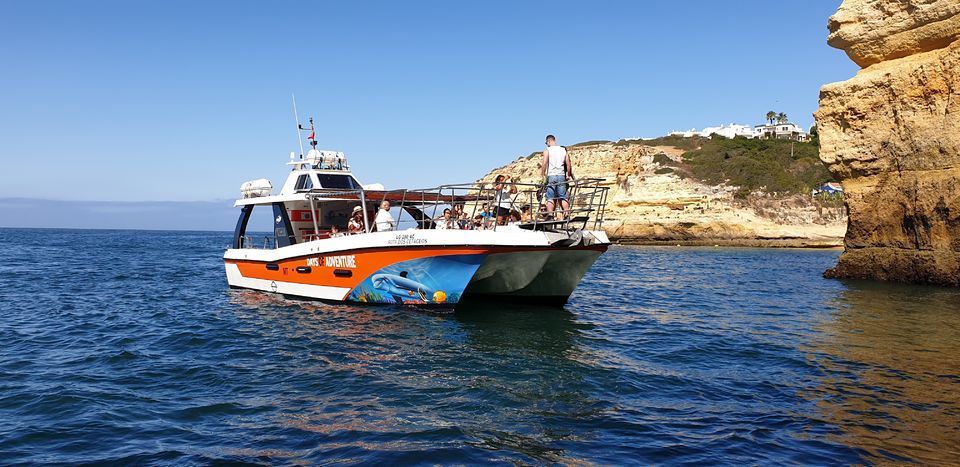 1H30 Dolphin Watching Tour On A Catamaran In Lagos, Algarve ...