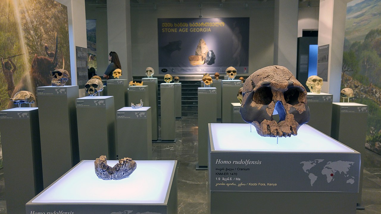 national museum of georgia