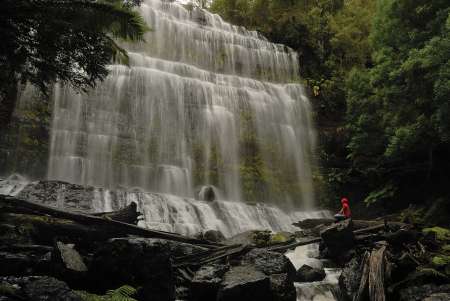 Hobart Landausflug: Lachsteiche Im Mount Field National Park Und Bonorong Wildlife Park
