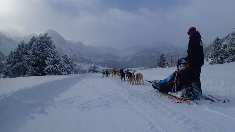 Experience De Mushing En Andorre Soyez Un Musher Professionnel Pour Une Journee Experitour Com