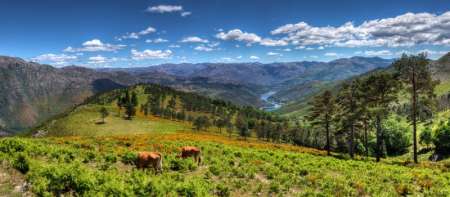 From Porto: Peneda-Gerês National Park Tour With Lunch And Pick-Up & Drop-Off