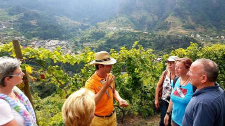 Île De Madère: Excursion D’Une Demi-Journée En Jeep Et Visite D’Un Vignoble Avec Dégustations De Vin