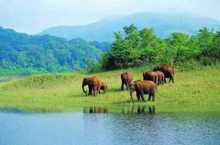 Enchanting Kerala Tour: 7-Day Trip