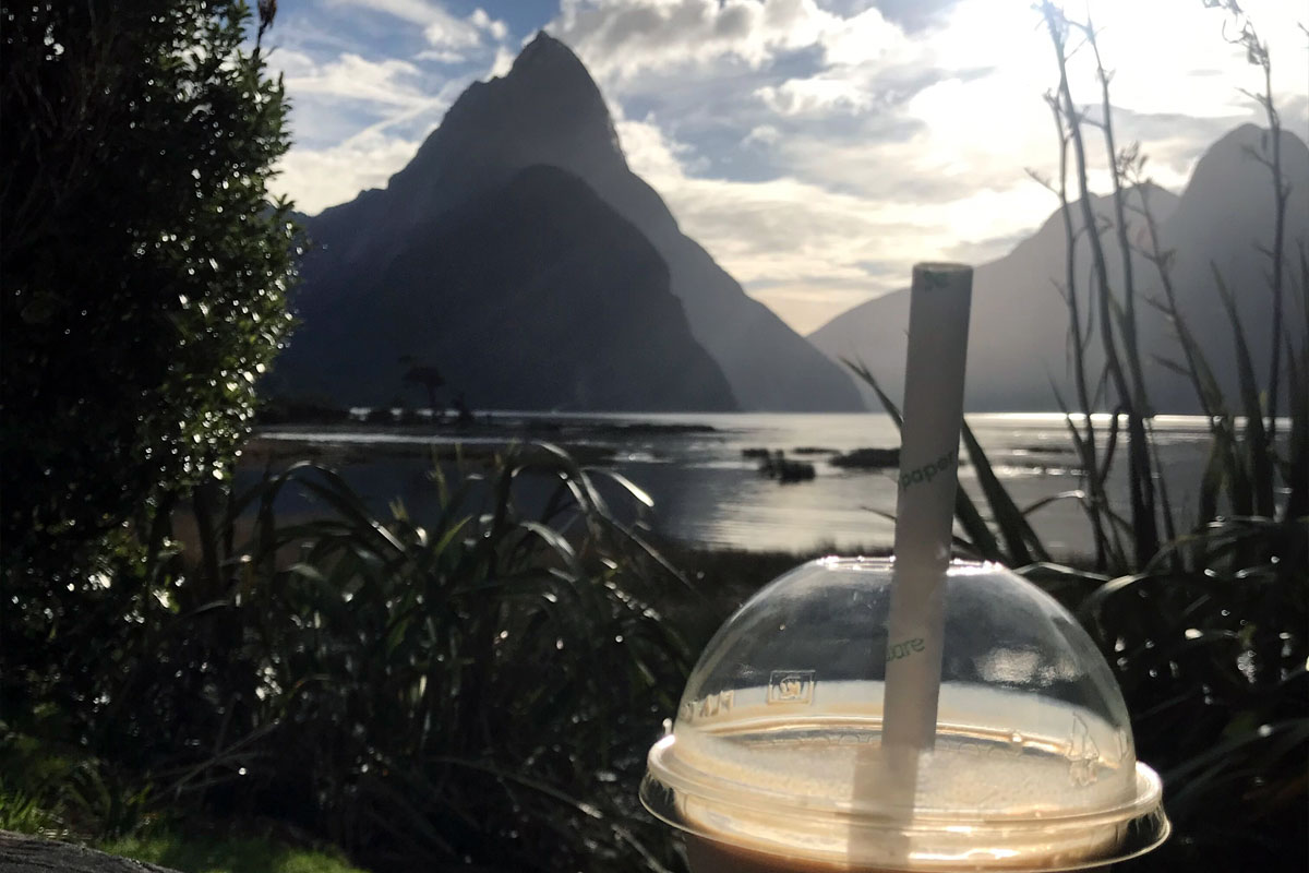 Queenstown Scenic Flight Over Milford Sound And Hiking Tour