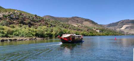 Douro Valley Private Boat & Train Tour With Lunch