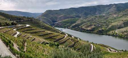 Douro Valley Private Tour Mit Portweinprobe