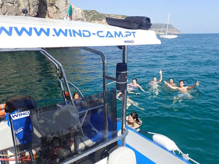 Boat Tour With Dolphin Watching In Arrábida Region Near ...