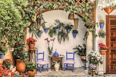 Guided Tour To The Popular Patios Of Cordoba
