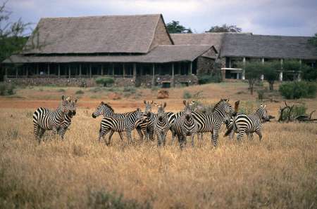 Viaje De Safari De 4 Días En Los Parques Nacionales Tsavo West Y Amboseli