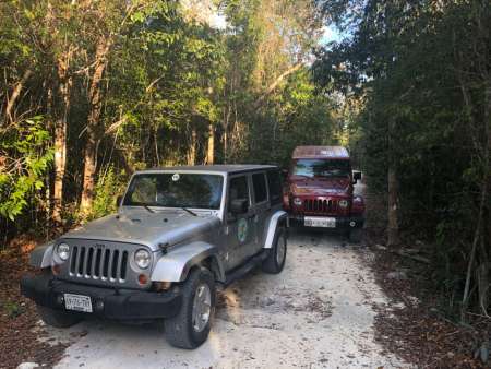 Cozumel: Aventure En Jeep Dans La Jungle Maya Vers Les Cavernes De Jade Et La Plongée Avec Tuba