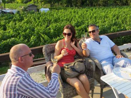 From Budapest: Half-Day Private Wine-Tasting Tour Of Etyek