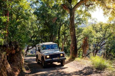Von Portimão: Jeep-Safari An Der Ländlichen Algarve Mit Verkostungen Und Mittagessen