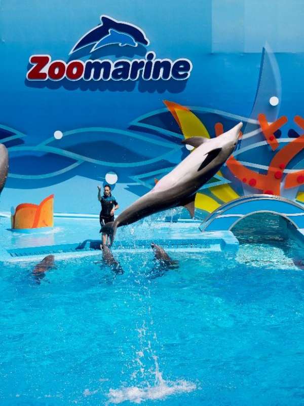 Top 5 Best Zoos To Visit In Portugal