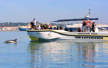 De Setúbal Ou Tróia: 2 Horas De Passeio De Barco Para Observação De Golfinhos Na Baía Do Sado