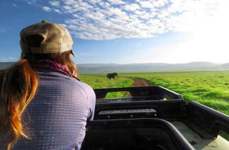 Excursion D’Une Journée Au Cratère Du Ngorongoro