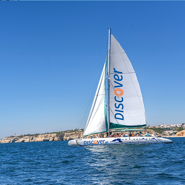 catamaran sailing portugal