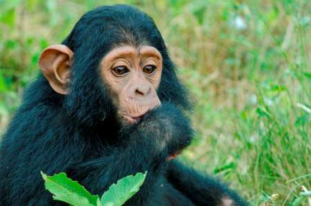 Excursion Privée De 6 Jours En Ouganda: Visitez Le Parc National Du Lac Mburo