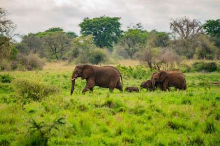 Kidepo Valley National Park